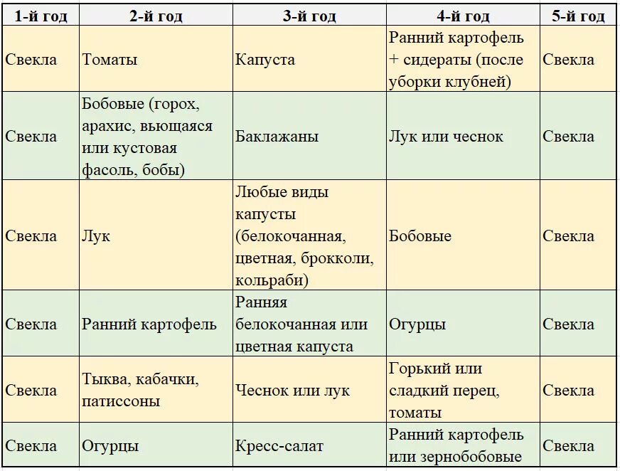 Что можно посадить на место. После чего можно сажать морковь и свеклу на следующий год. что сажать после свеклы. после чего сажать морковь на следующий год. что сажать после свеклы на следующий год.