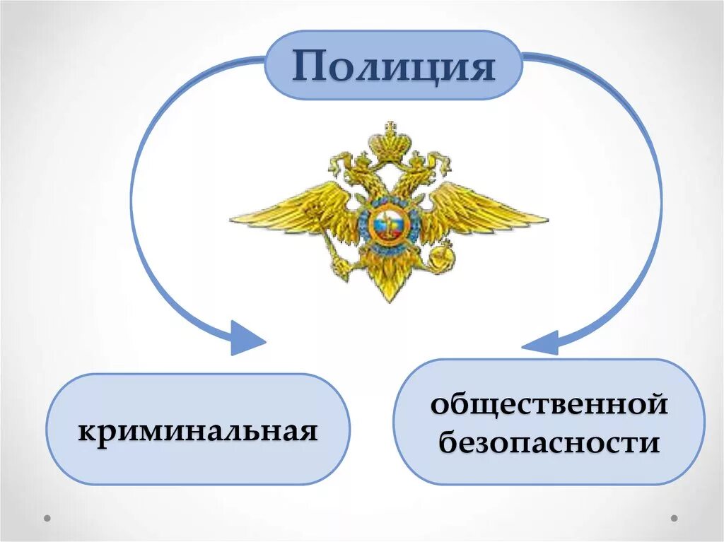 Правоохранительные органы. Основные задачи криминальной полиции. Подразделения криминальной полиции. Структура криминальной полиции РФ.