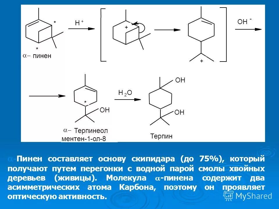 Пинен это. Пинен. Синтез пинена. Альфа-пинена. Синтеза Терпина из -пинена.