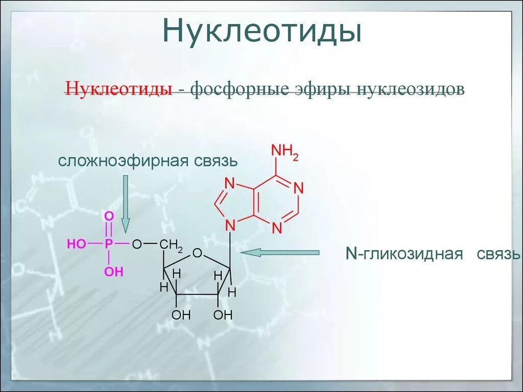 Формулы нуклеотидов. 5 Формул нуклеотидов. Нуклеотиды это фосфорные эфиры нуклеозидов. Нуклеотид 5 гуаниловой кислоты. Связи в нуклеотидах.