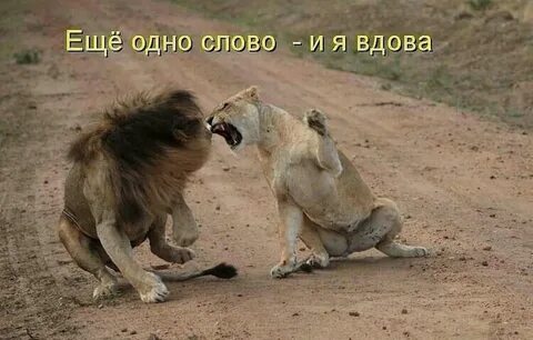 Хочу Секса Очень Давно Не Было