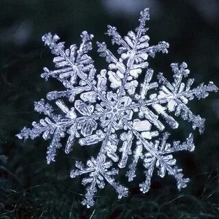 Снежинки какие белые