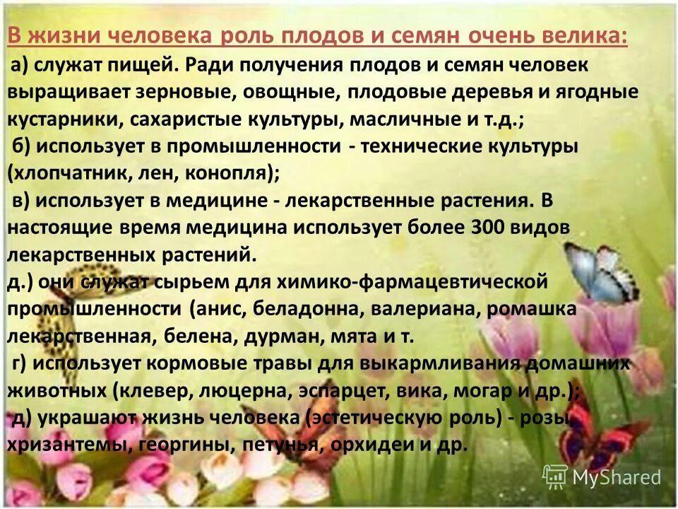 Биология 6 класс информация. Роль плодов в природе. Роль плодов в жизни человека. Разнообразие плодов и их роль в природе. Роль плодов в природе и в жизни человека.