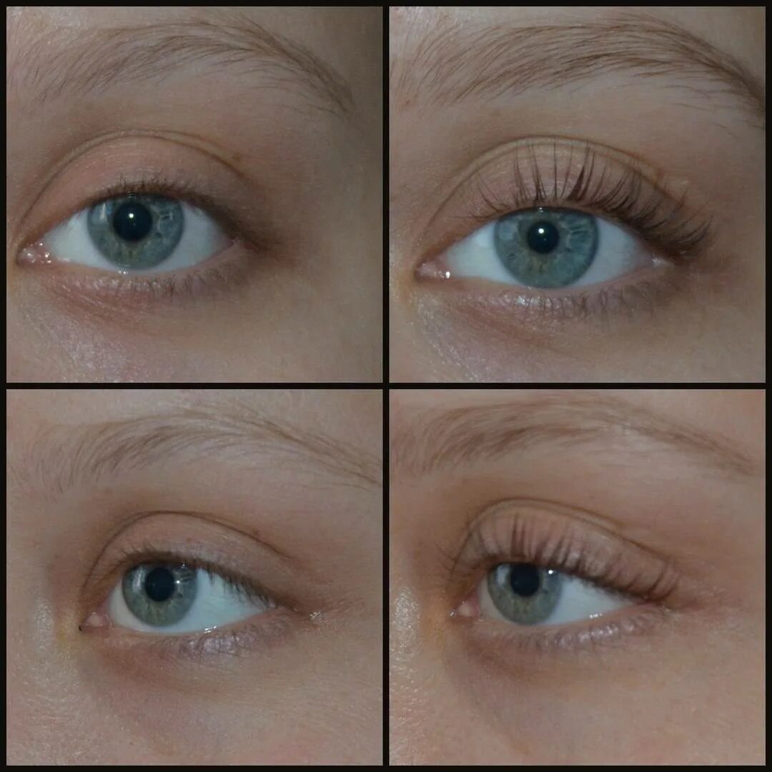 ламинирование ресниц+ ботокс. ботокс ресниц. ламинирование ресниц+ ботокс. ламинирование и ботокс. наращивание и ламинирование ресниц разница.