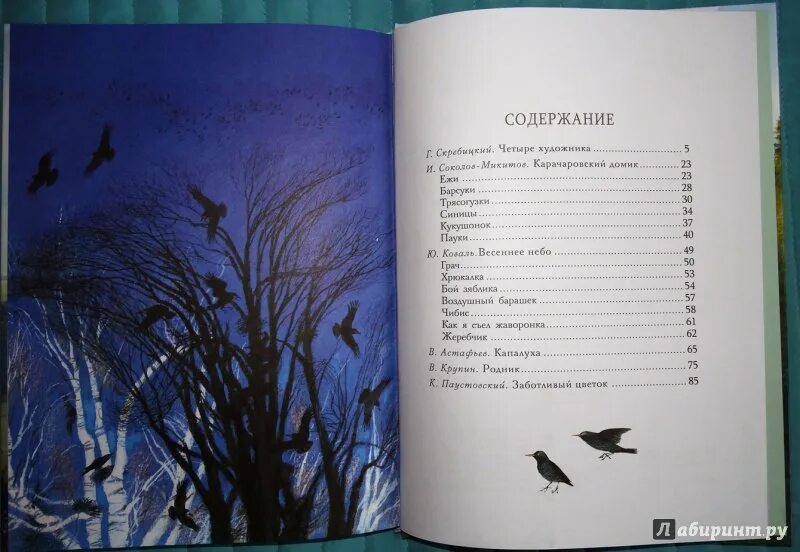 Весенний остров астафьев краткое содержание. Произведения Скребицкого о природе. Скребицкий книги для детей. Скребицкий книги о природе. Рассказы.а Скребицкого о природе для детей..