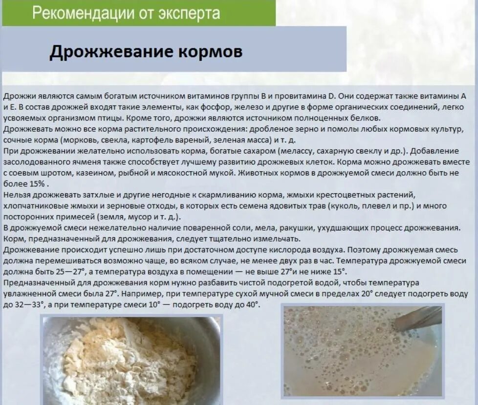 Как разводить сухие дрожжи. Дрожжевание кормов для кур. Дрожжевые корма для кур несушек. Кормовые дрожжи для кур несушек. Дрожжи для курей для яйценоскости.