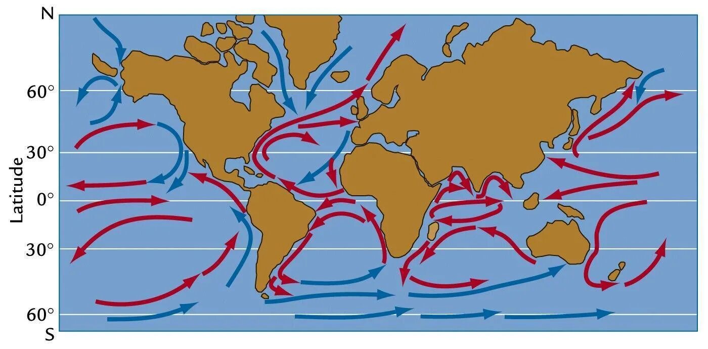 Западные берега теплые и холодные течения. Теплые и холодные течения мирового океана. Карта поверхностных течений мирового океана. Схема последовательности движения вод мирового океана. Основные Океанические течения теплые и холодные.