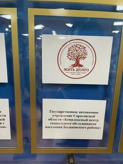 Саратовская область социальная защита