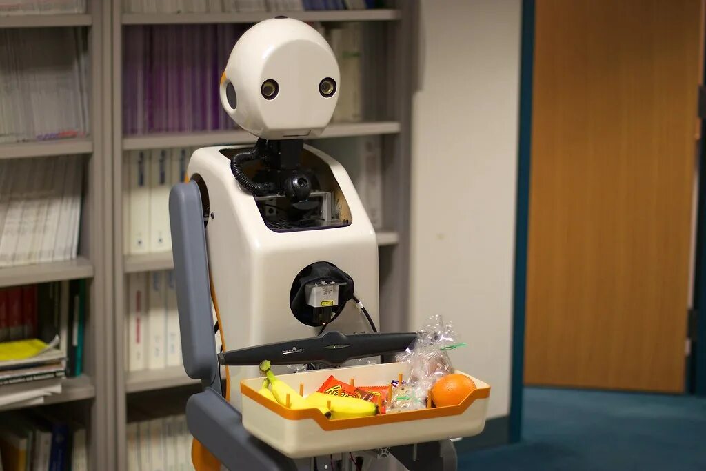 Project robots