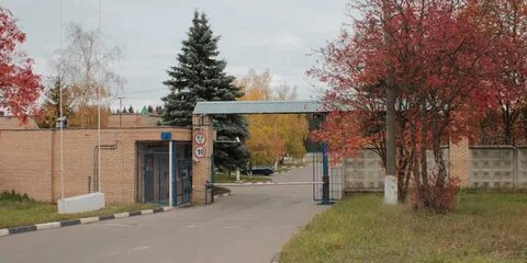 Огве