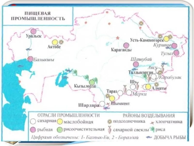 Пищевая промышленность юга россии. Центры пищевой промышленности в России на карте. Крупные центры пищевой промышленности. Крупнейшие центры пищевой промышленности. Промышленность Казахстана.