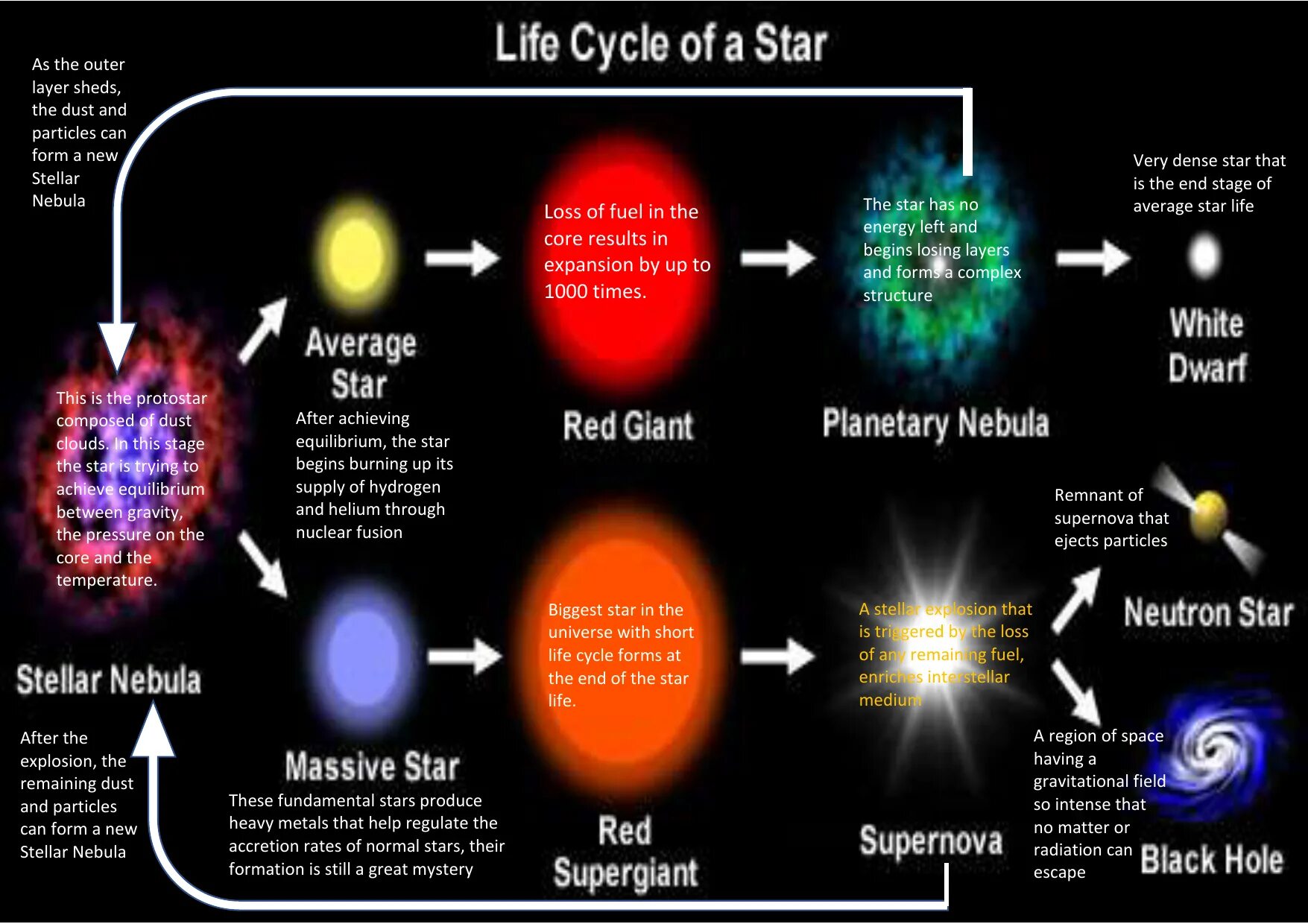 Physical life. Star of Life. Star Lifecycle. Stellar Lifecycle. Cycle Star Life Art.