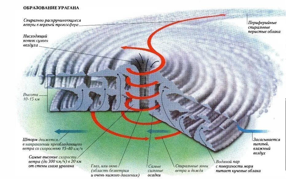 Названия смерча. Образование тайфуна схема. Структура урагана. Схема возникновения Торнадо. Строение урагана.