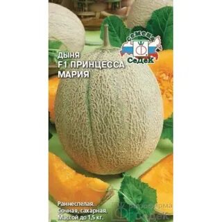 Дыня принцесса
