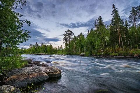 Река белая карелия
