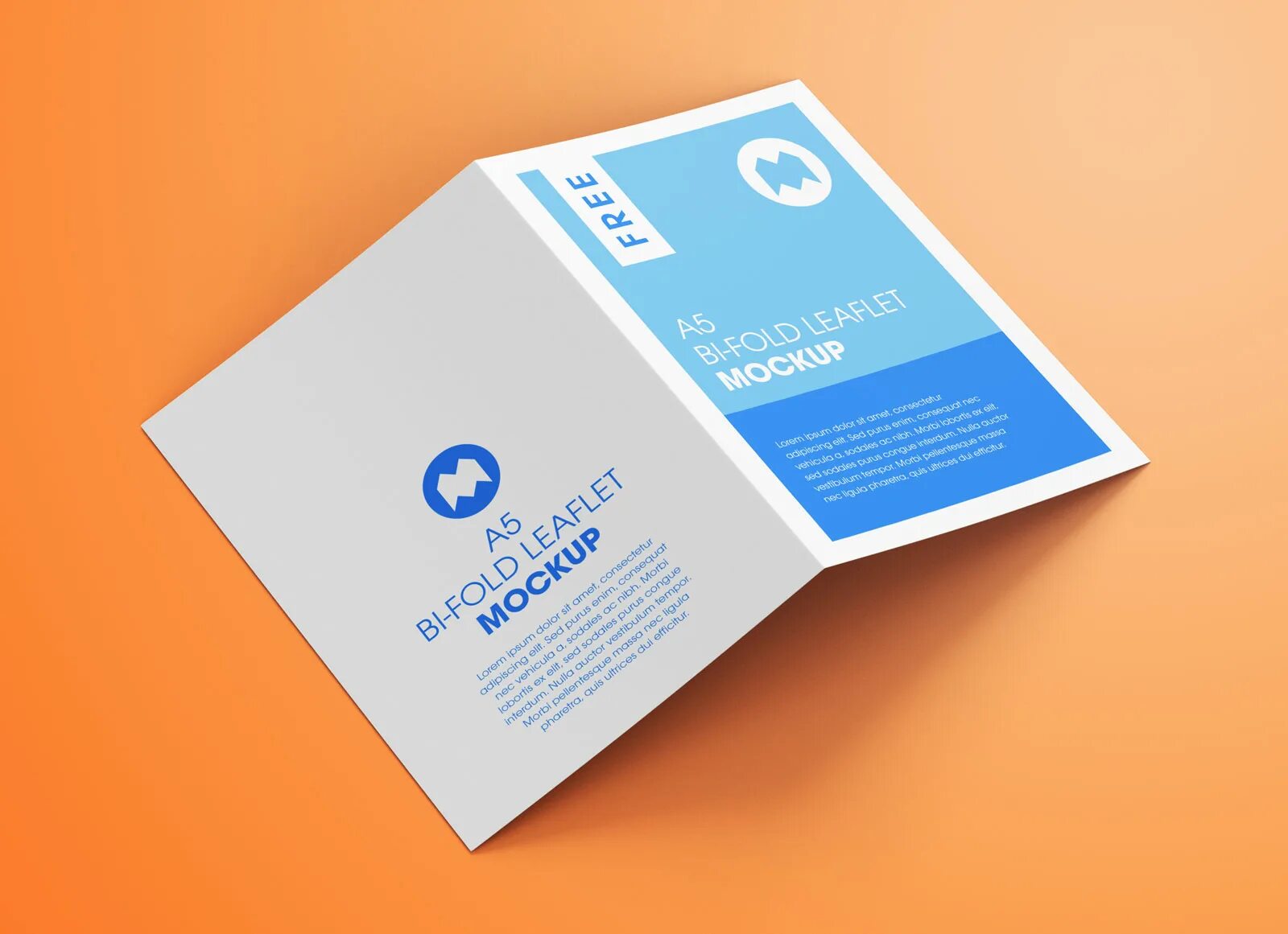 Мокап листовка а5. Мокап листовки. mockup листовка. мокап листовка на столе. мокап листовка в руке.