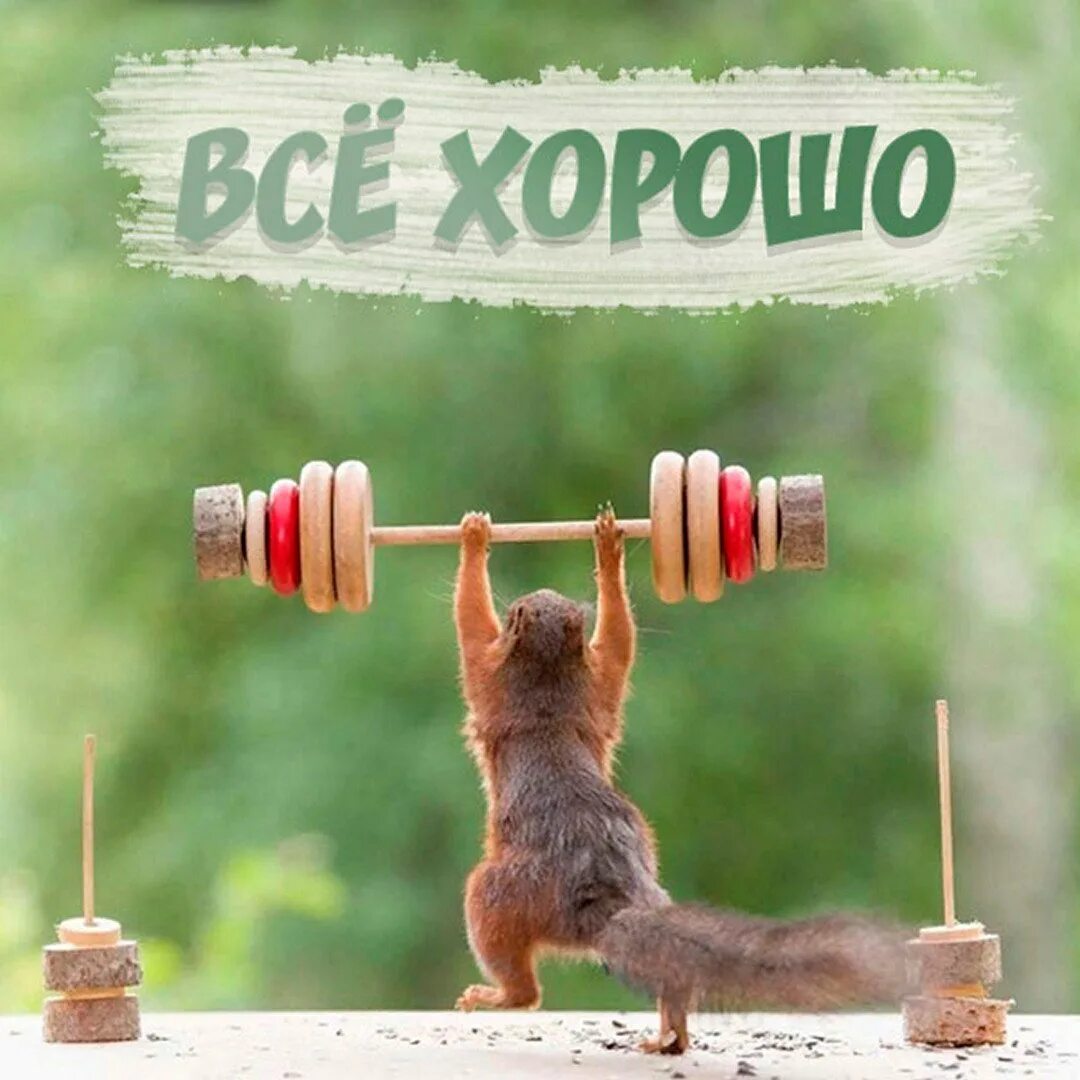 Картинки позитивные хорошего дня