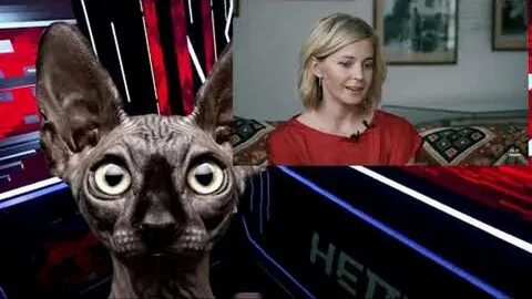 Видео кота костяна
