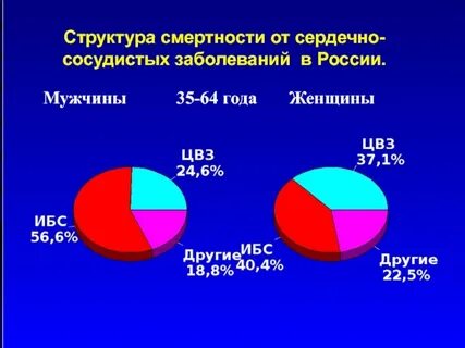 Ишемическая болезнь сердца статистика