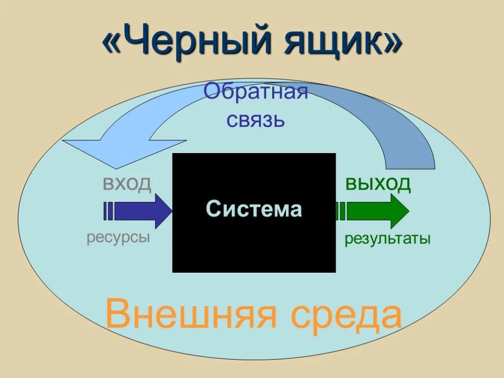 Входы и выходы организации. Кибернетическая система черный ящик. Принцип черного ящика кибернетика. Модель черного ящика. Черный ящик примеры систем.