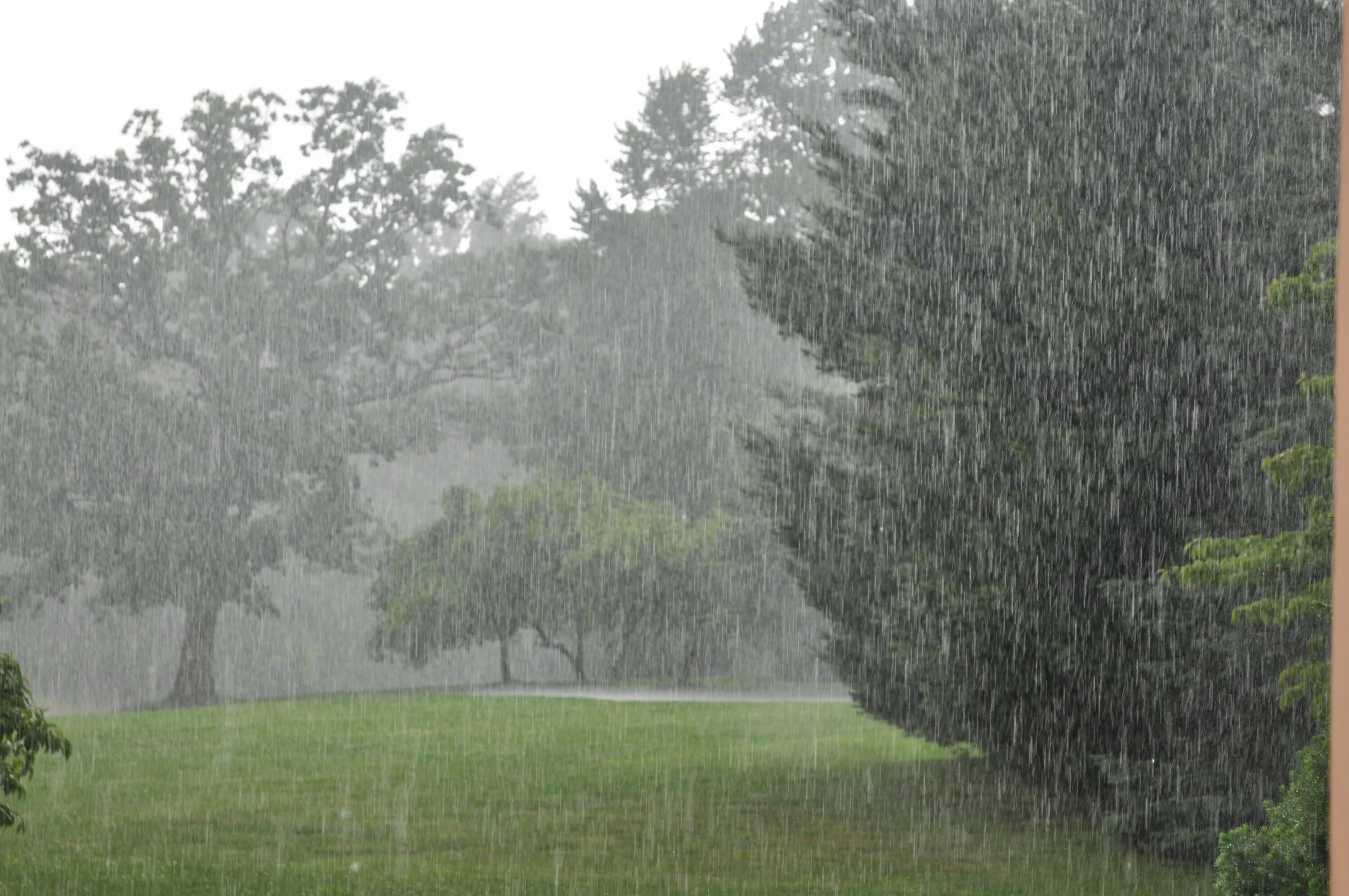 It s raining heavily. Сильный дождь. Явления природы дождь. Ливневые дожди. Сильный ливень.