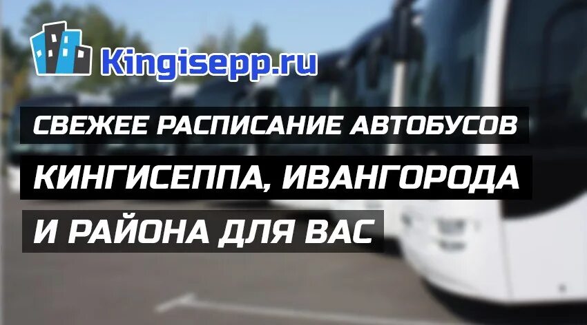 Кингисепп спб расписание. Автобус 51 Ивангород Кингисепп. Расписание автобусов Кингисепп Ивангород. Расписание 51 автобуса Кингисепп Ивангород. Маршрутка СПБ Ивангород.