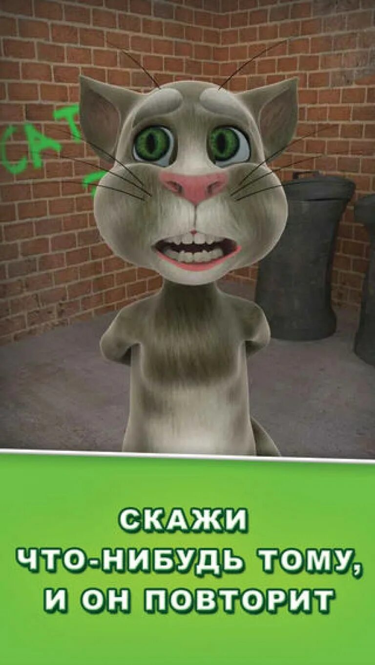 Говорящий том 1 версия. Talking Tom. Игра talking Tom Cat (2010). Игра talking Tom Cat (2010) андроид. Talking Tom Cat 1.