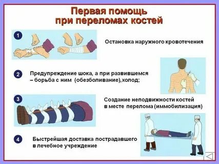 Оказание доврачебной помощи при комах
