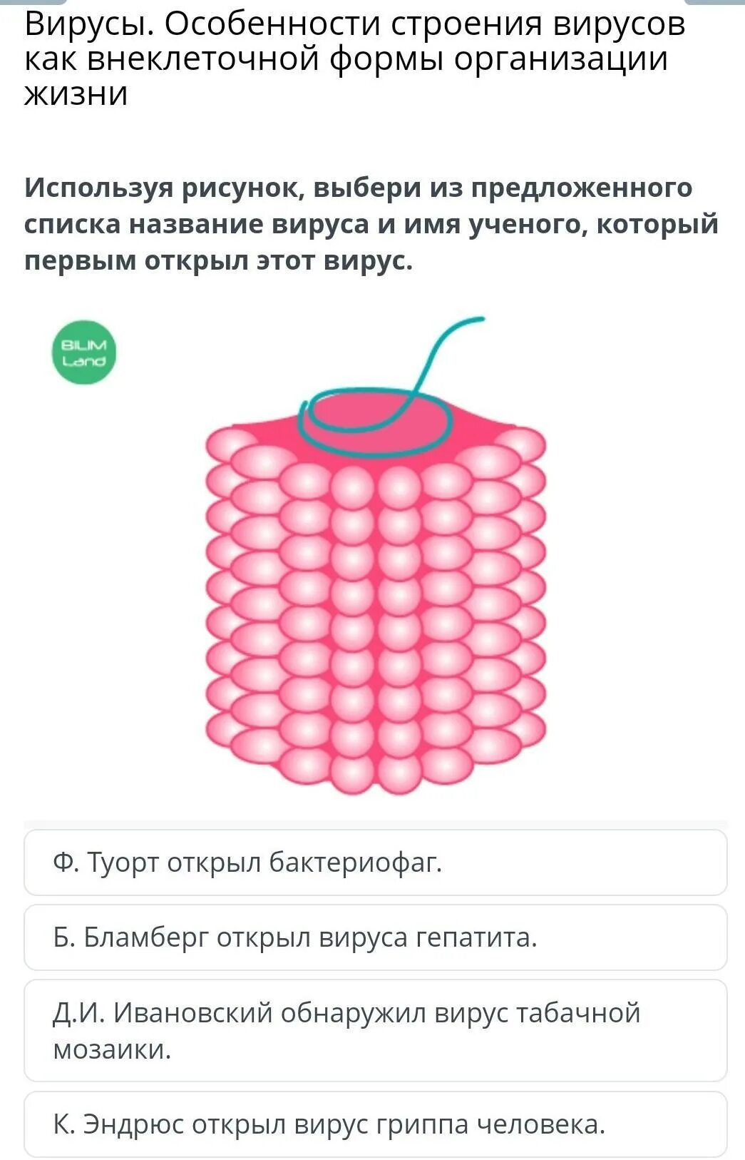 Вирусы форма строения. Особенности строения вирусов. вирусы и их строение. строение вируса.