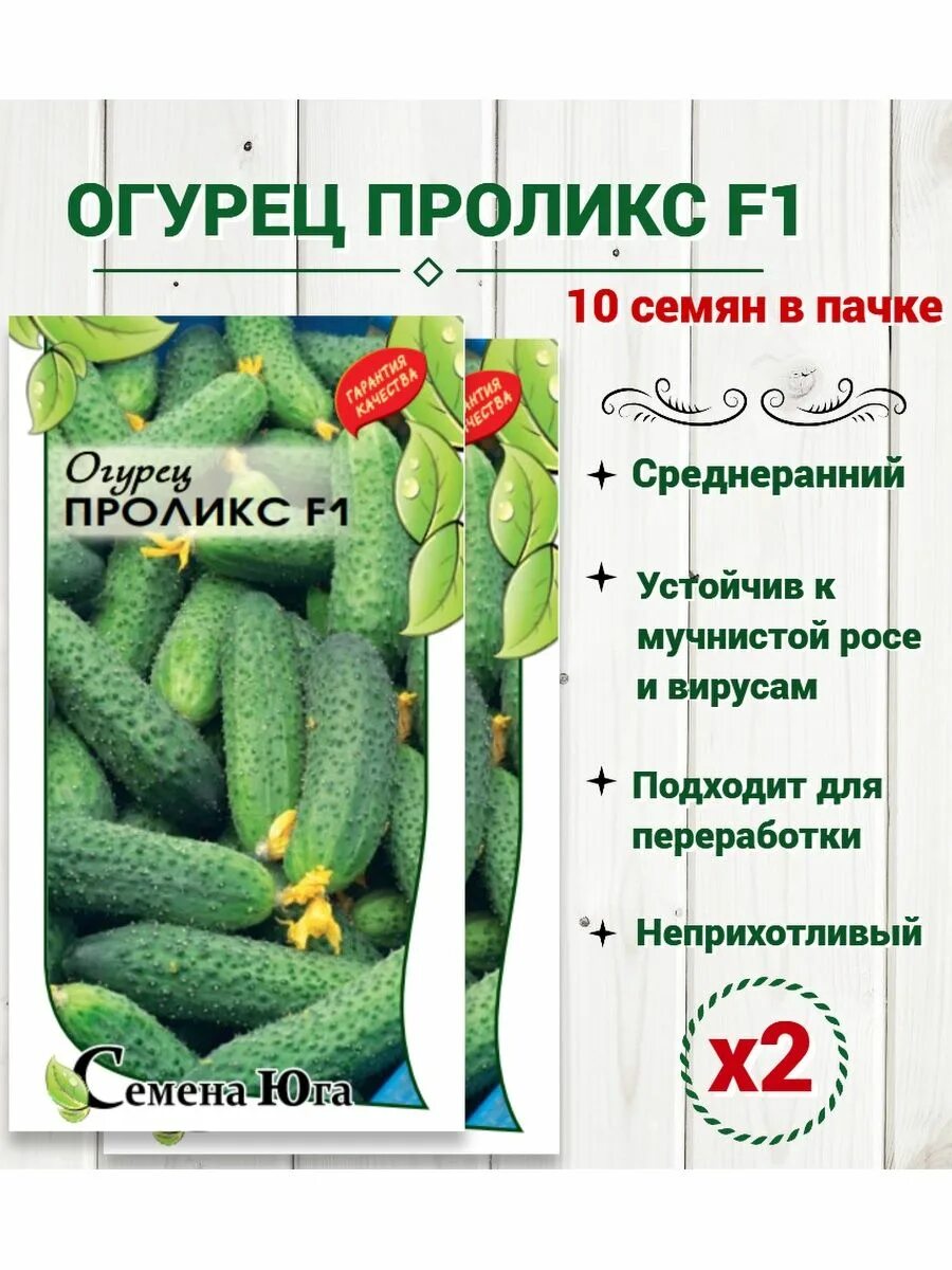 Огурец промэкс или проликс. Огурец проликс. Огурец проликс. Огурец промэкс или проликс. Проликс f1.