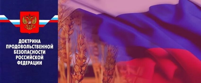 продовольственная доктрина. задачи доктрины продовольственной безопасности. показатели продовольственной безопасности. доктрина продовольственной безопасности рф. 01.