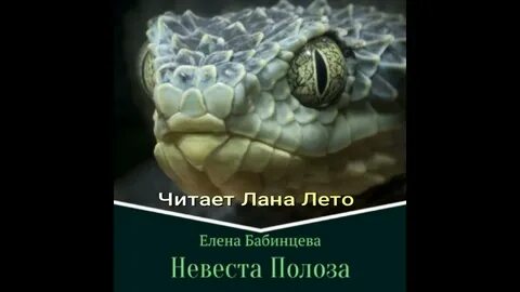 Невеста полоза текст