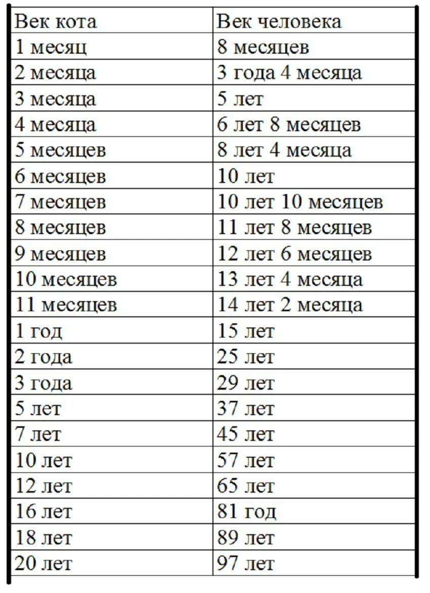 Сколько всего лет живет человек. Продолжительность жизни домашних кошек. Средняя Продолжительность жизни кота. Средняя продолжительности Продолжительность жизни кошек. Возраст кошек на человеческий Возраст таблица по породам таблица.