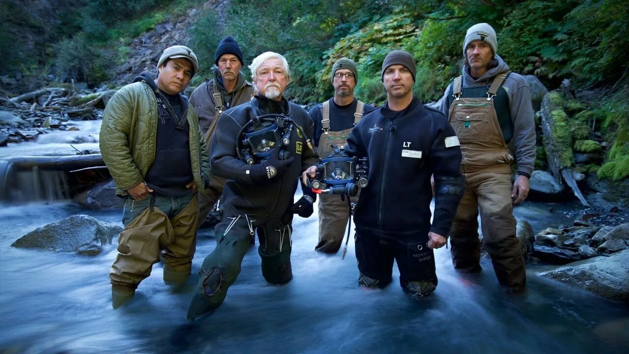 Золотая лихорадка номо. Золотая лихорадка слушать. Старатели золотая лихорадка. Discovery channel золотая лихорадка. Джесси гоинс золотая лихорадка.