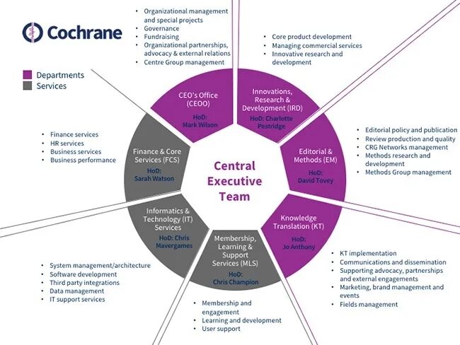 Management methods. Central Executive Network сеть творчества. Group Management. Кокран исследование.