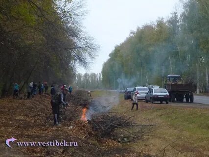 Подслушано в беково