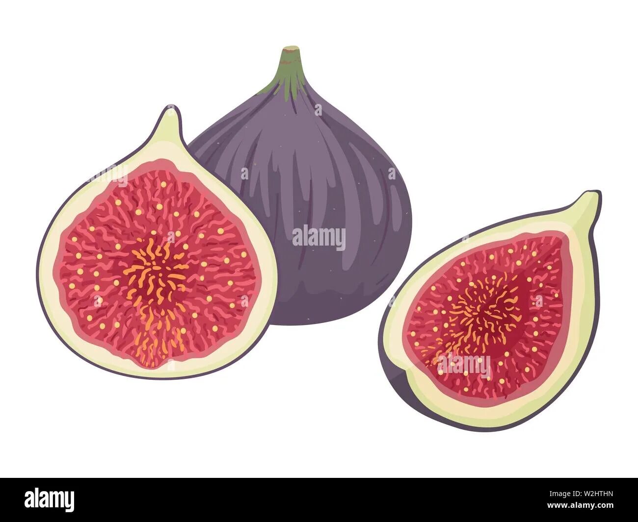 Fig update