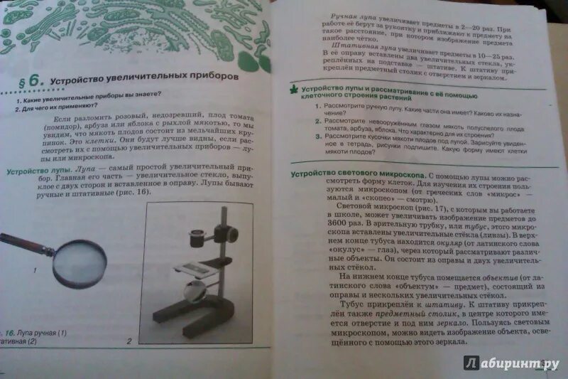 Биология 5 класс 1 часть параграф 22. Учебники и микроскоп. Увеличительные приборы 5 класс биология. Биология параграф с микроскопом. Микроскоп в учебнике по биологии.