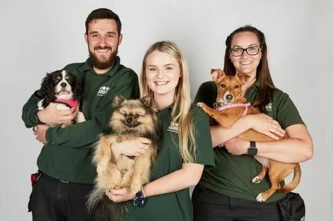 Fill in charity foster senior