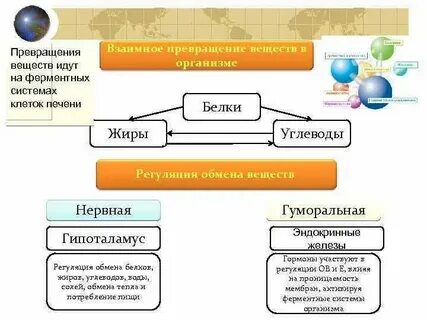 Какие превращения могут происходить в организме человека