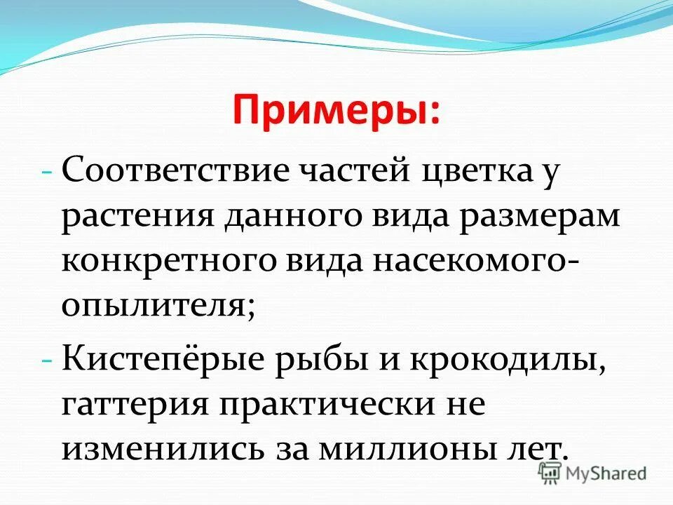 график соответствия множеств. взаимно однозначное соответствие множеств таблица. соответствие примеры. соответствие примеры. определение соответствия между двумя множествами.