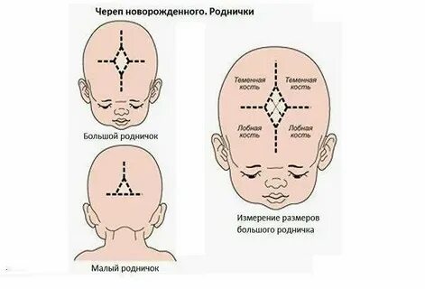 Количество зарасти