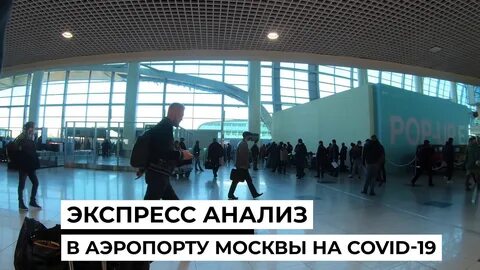 Аэропорт домодедово тест
