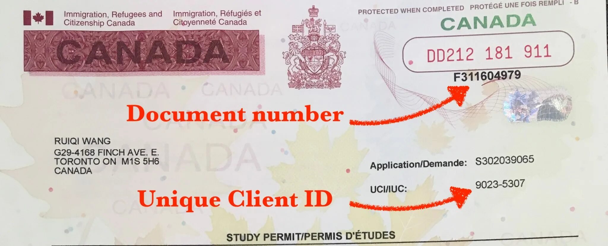 Customers 0 document number. Study permit canada. document number. renew study permit canada.