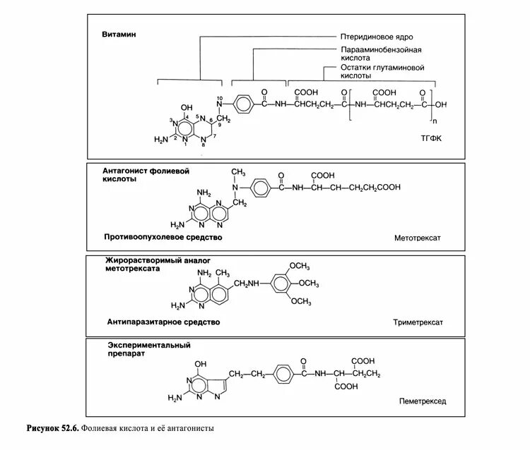 Механизм действия антагонистов фолиевой кислоты схема. Антиметаболиты фолиевой кислоты антибиотики. Антагонисты фолиевой кислоты. Антагонисты фолиевой кислоты механизм.
