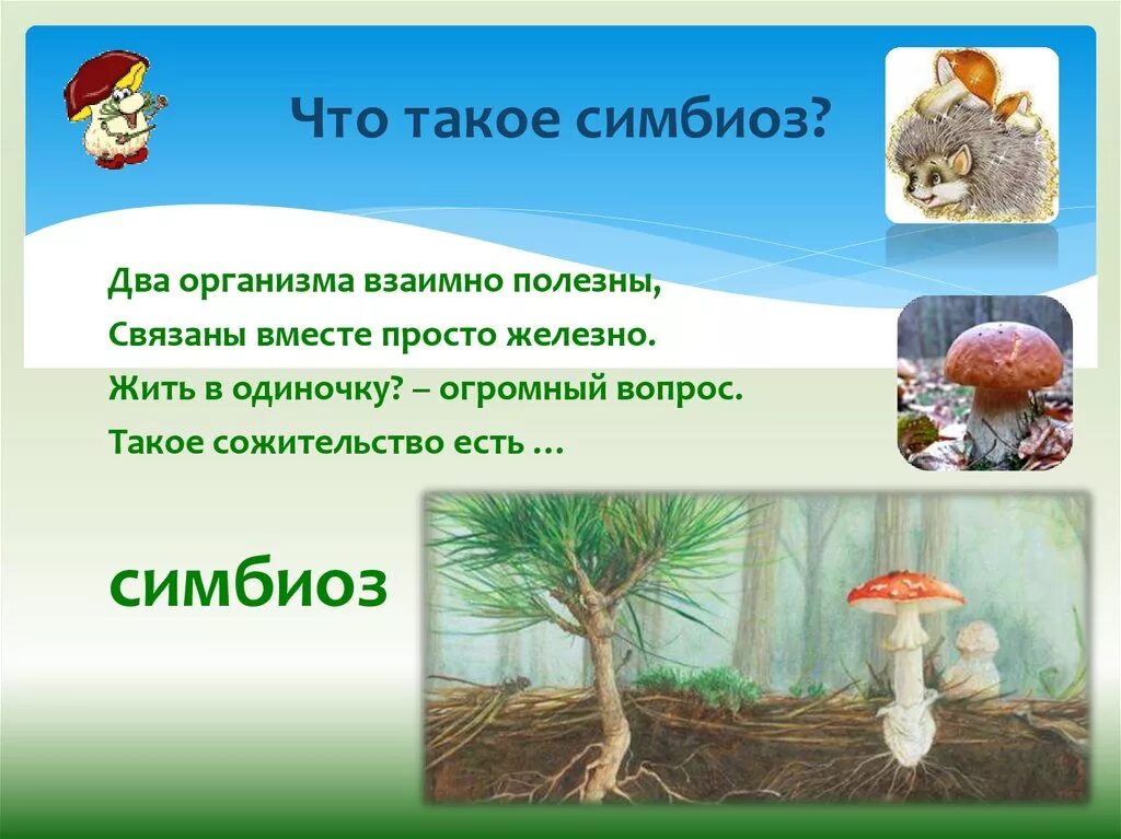 Симбиоз. Что такое симбиоз в биологии 5 класс. Симбиоз это в биологии 5. Simbioz prezentatsiya. Что такое симбиоз кратко