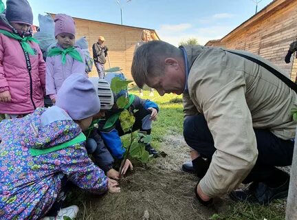 Минусинское лесничество