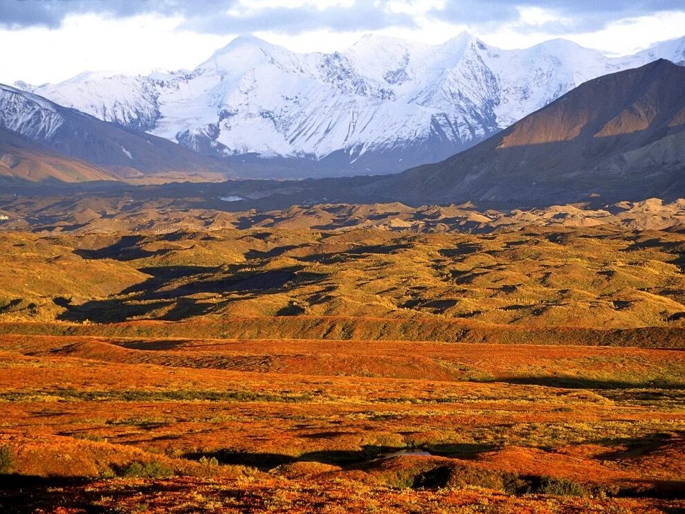 Национальный парк Денали Аляска. Денали тундра. Парк Денали Аляска осень. Осенняя тундра, национальный парк Денали, Аляска. Американская тундра