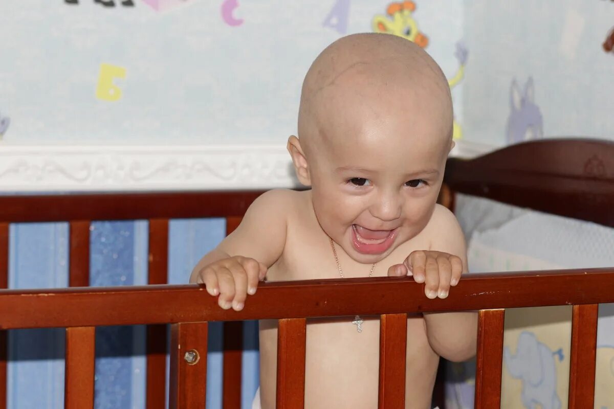 ну сфотографируй. волк из ну погоди селфи. ну сфотографируй.