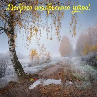Какую ждать зиму